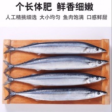 秋刀鱼新鲜海捕深海鲜活冷冻海鲜日式烧烤食材海鱼水产批发亚马逊