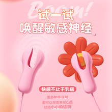 乳夹情趣玩具乳头按摩器女用乳房自慰器震动奶头胸部成人