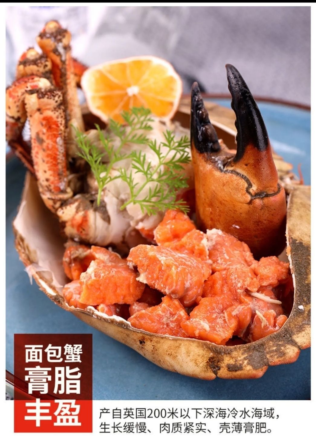 面包蟹海鲜珍宝冷冻皇帝蟹水产膏蟹海蟹梭子蟹大螃蟹冻黄道蟹海蟹