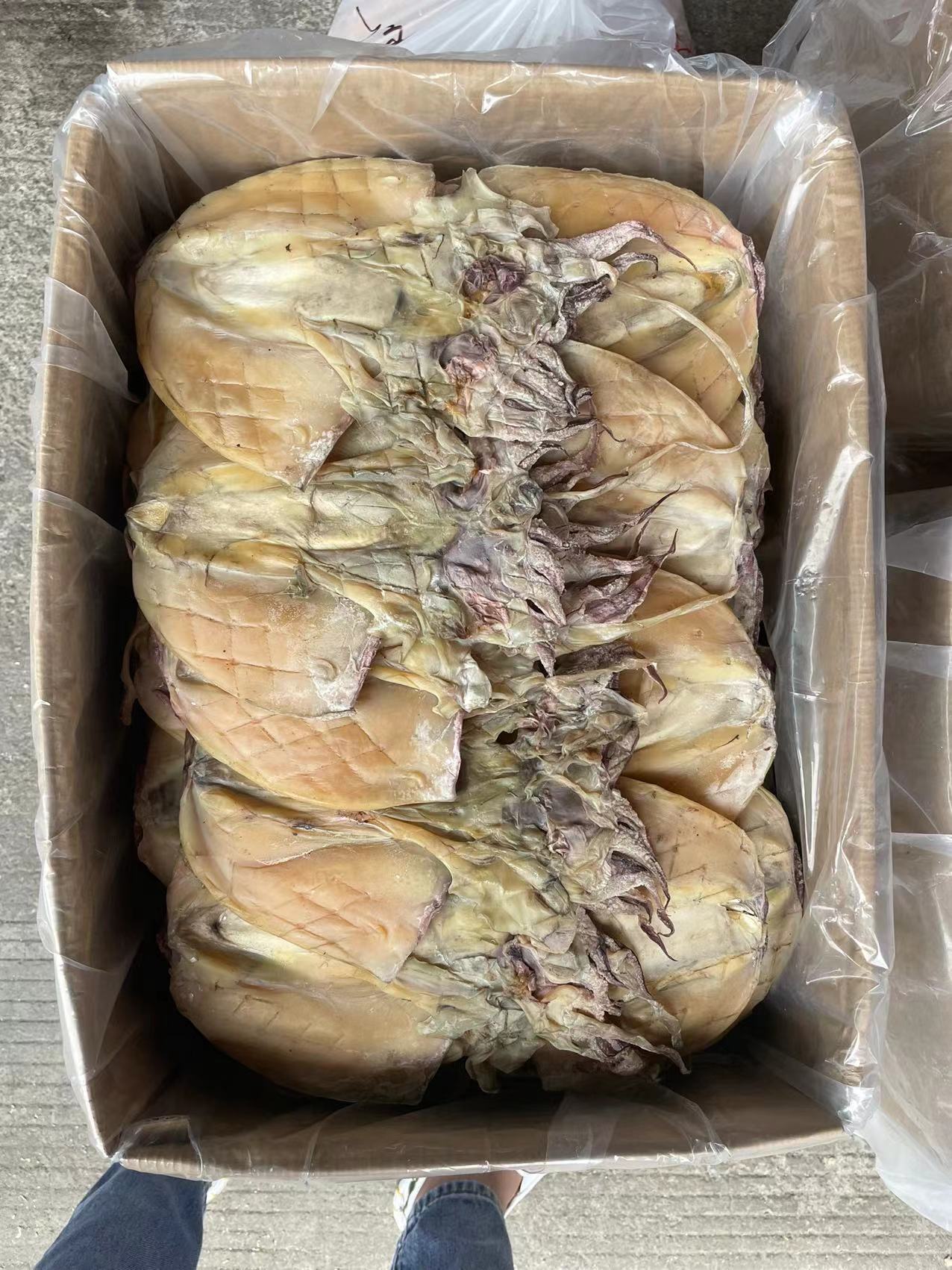 北海墨鱼半咸淡3-4条 30斤/件-阿里巴巴