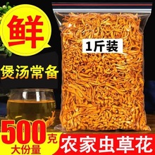 虫草花干货500g特级新货农家新鲜北蛹金虫草孢子头菌菇煲汤批发