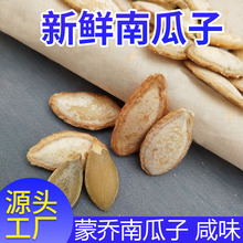 蒙乔食品 精选原味散装熟南瓜籽 颗粒饱满厂家直销内蒙 包邮