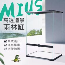 雨林缸造景超白玻璃箱热带雨林植物动物饲养箱水族爬虫用