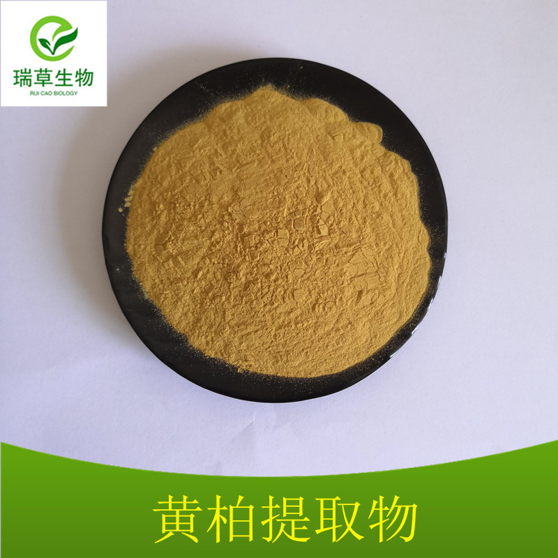 黄柏提取物黄柏粉1kg起售现货供应厂家直供黄柏提取物