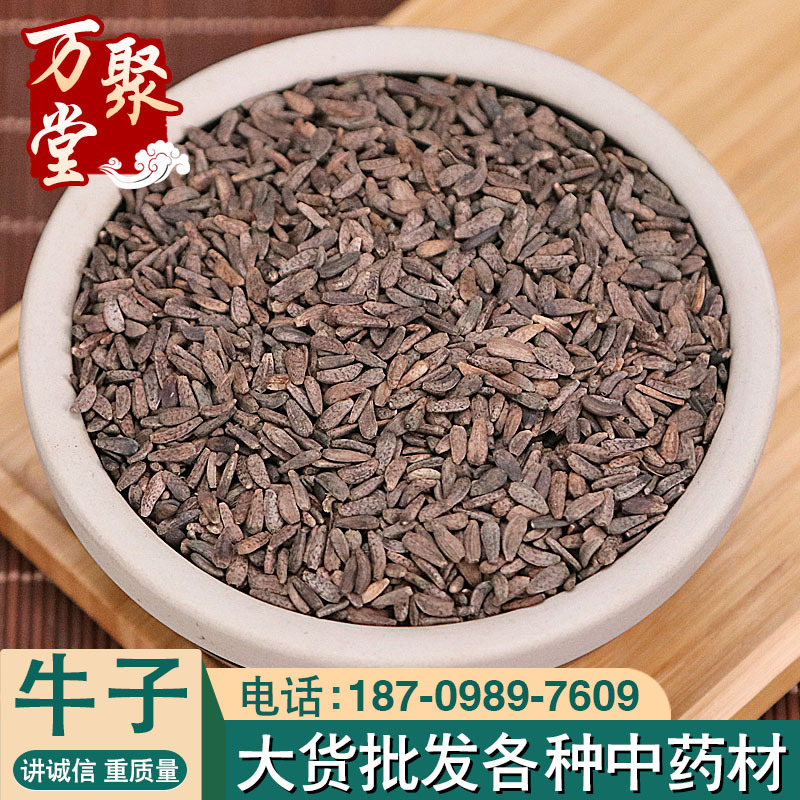 牛子批发中药材牛蒡子 牛子大力子散装牛蒡子籽类大全