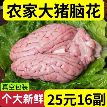 新鲜整副猪脑花速冻猪脑大猪脑左脑右脑小脑冷冻火锅烧烤食材商用