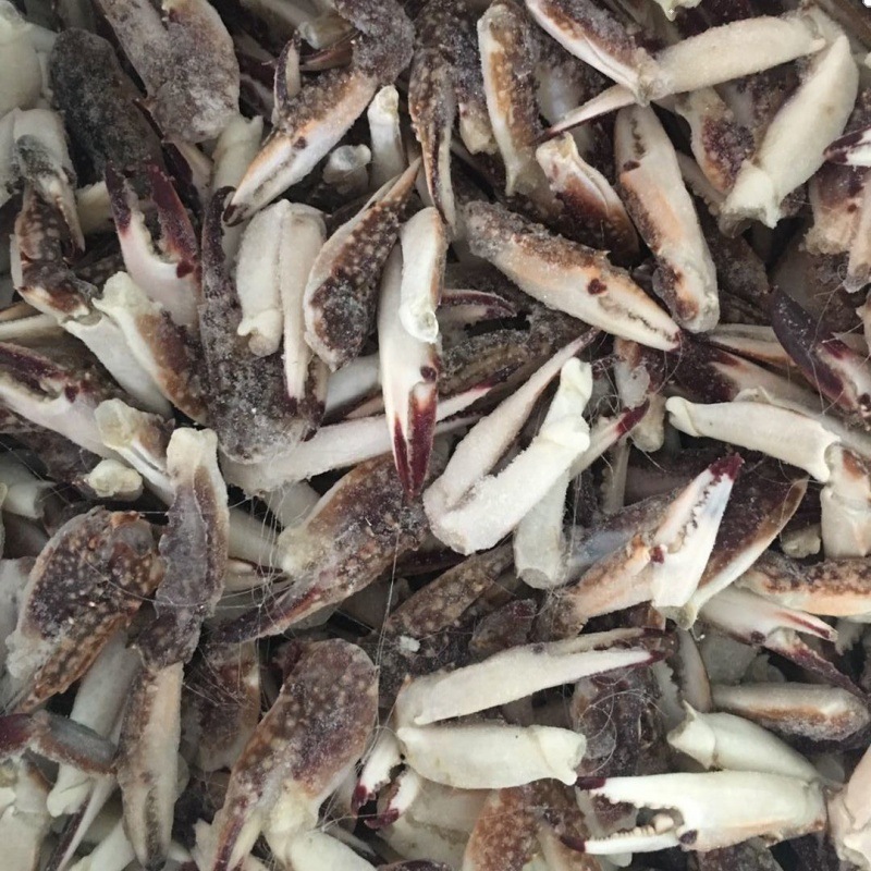 蟹钳冷冻舟山深海海鲜鲜活饱满梭子蟹腿大螃蟹脚新鲜钳子小吃网红