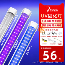 led紫外线UV固化灯无影胶光学感油墨晒版365/395nm单双排紫外线灯