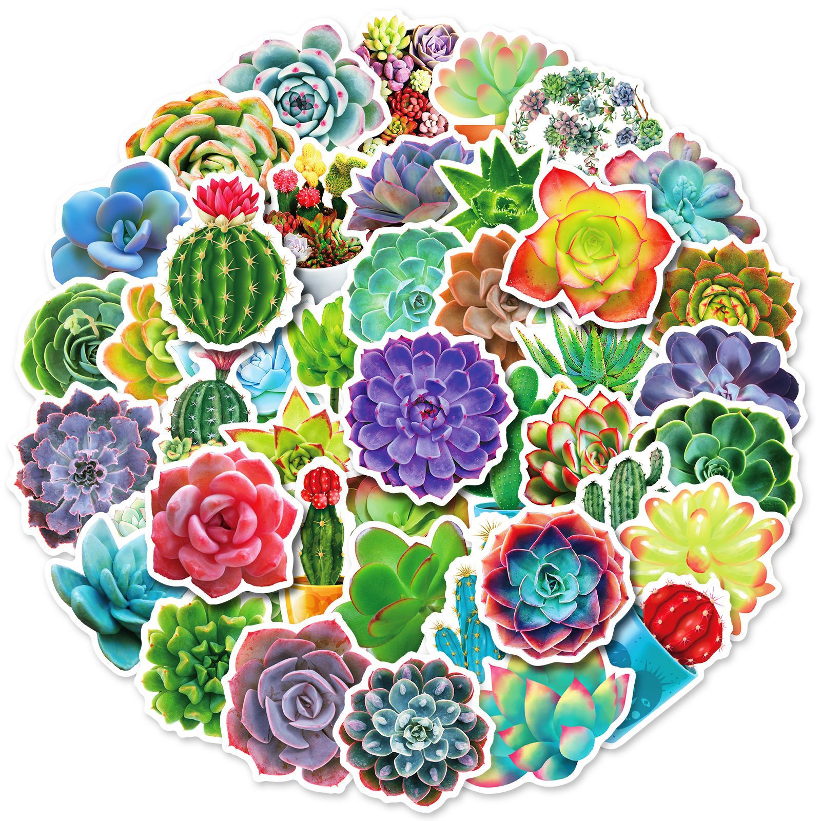 50张多肉系列贴纸 绿植卡通ins风贴纸 跨境新款北欧绿叶盆栽贴画