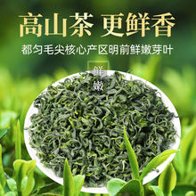 都匀毛尖2023年新茶贵州高山云雾绿茶浓香型手工炒青茶叶批发散装