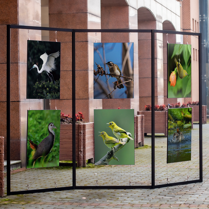 画展展示架学校校园宣传画廊油书画展挂画架广告屏风折叠展板隔断