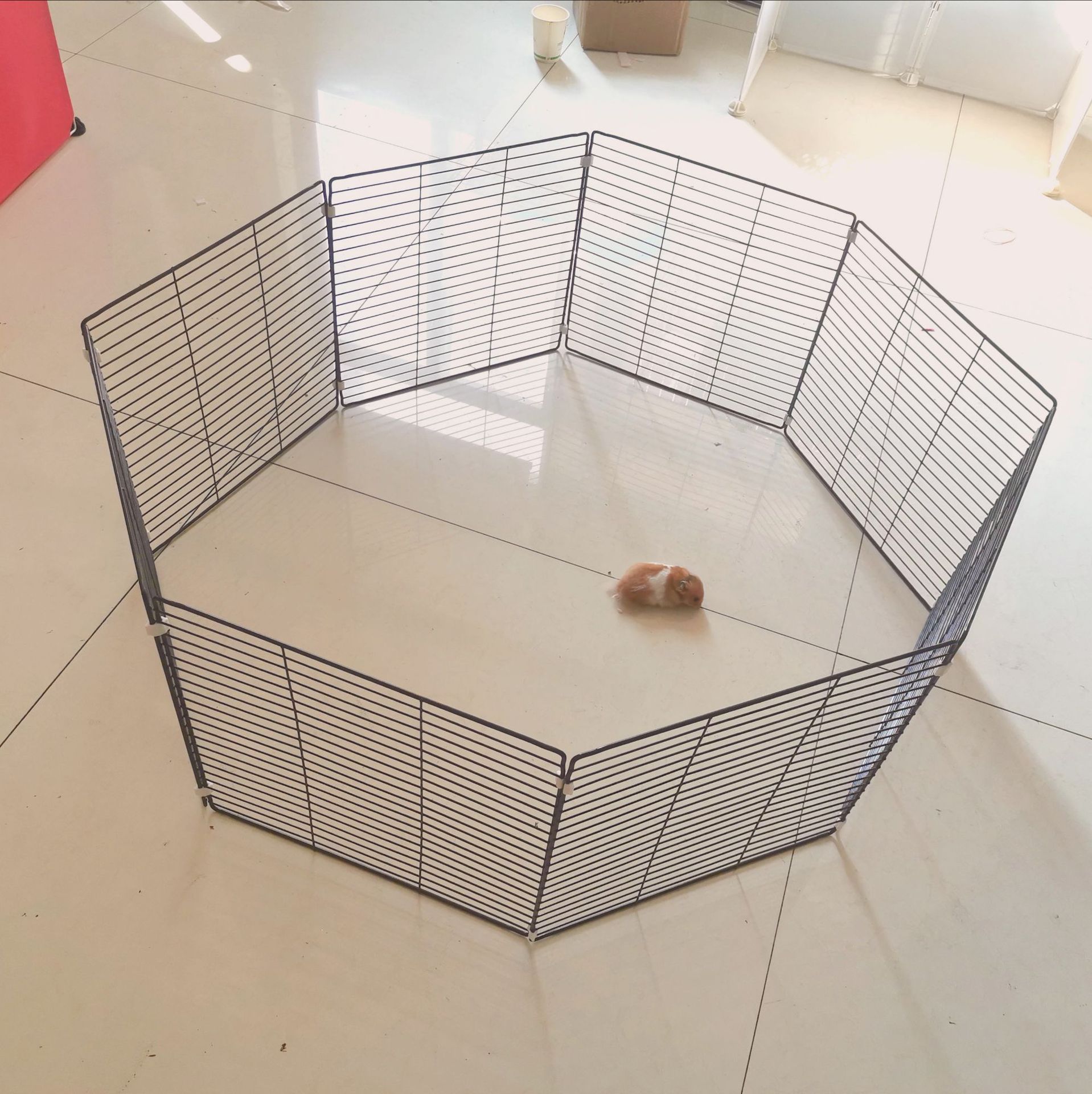 亚马逊爆款宠物围栏栅八片户外围栏狗笼子适应中小犬可折叠方便捷