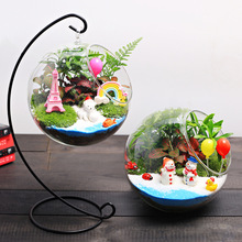 16圣诞室内桌面迷你小盆栽绿植物苔藓生态玻璃微缩型景观diy材料