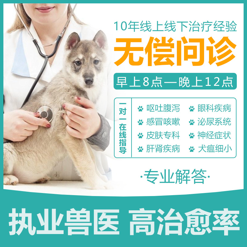 宠物医生在线问诊宠物医院兽医问诊猫咪狗狗生病线上咨询看病解答