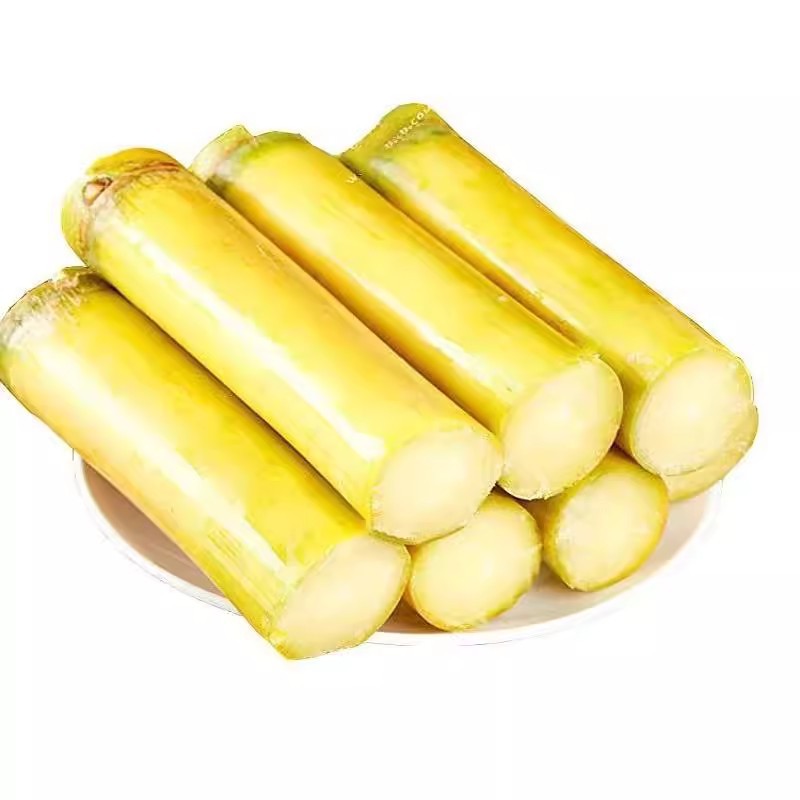 广西黄金甘蔗当季新鲜脆甜黄皮甘蔗中段热带水果正宗特产一件代发