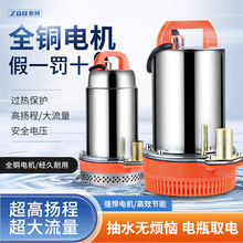 ZQB家用小型直流潜水泵电瓶车抽水泵12V24V48V60V高扬程电瓶泵