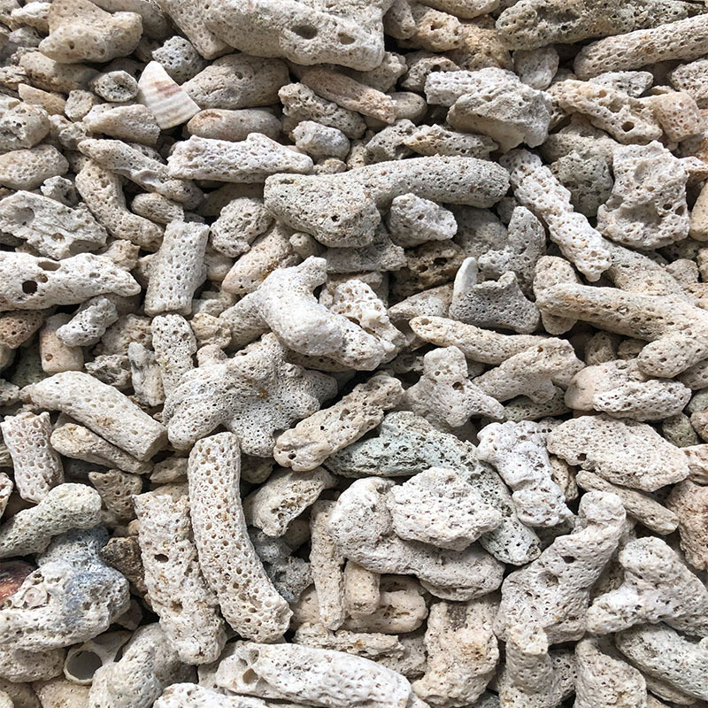 鱼池过滤材料珊瑚骨滤材鱼缸造景底砂珊瑚石水族箱海鲜池净化ph值