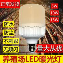 超亮养鸡场3000k暖光养殖用灯led灯泡家用节能灯E27耐久超亮款