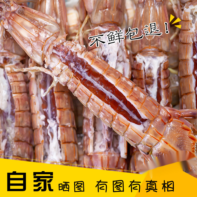 皮皮虾海鲜有膏母大皮皮虾新鲜熟冻特大满黄鲜活冷冻虾爬子带膏