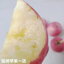 山西运城临猗红富士大果新鲜脆甜冰糖心有机丑苹果10斤水果农