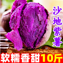 新鲜紫薯10斤农家自种蔬菜沙地紫罗兰烟薯板栗红蜜薯番薯地瓜商用