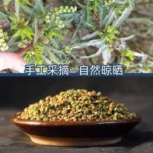 四川古蔺赶黄草花蕾中药材新货益月干茶脂肪纯花蕾正品月干茶野生