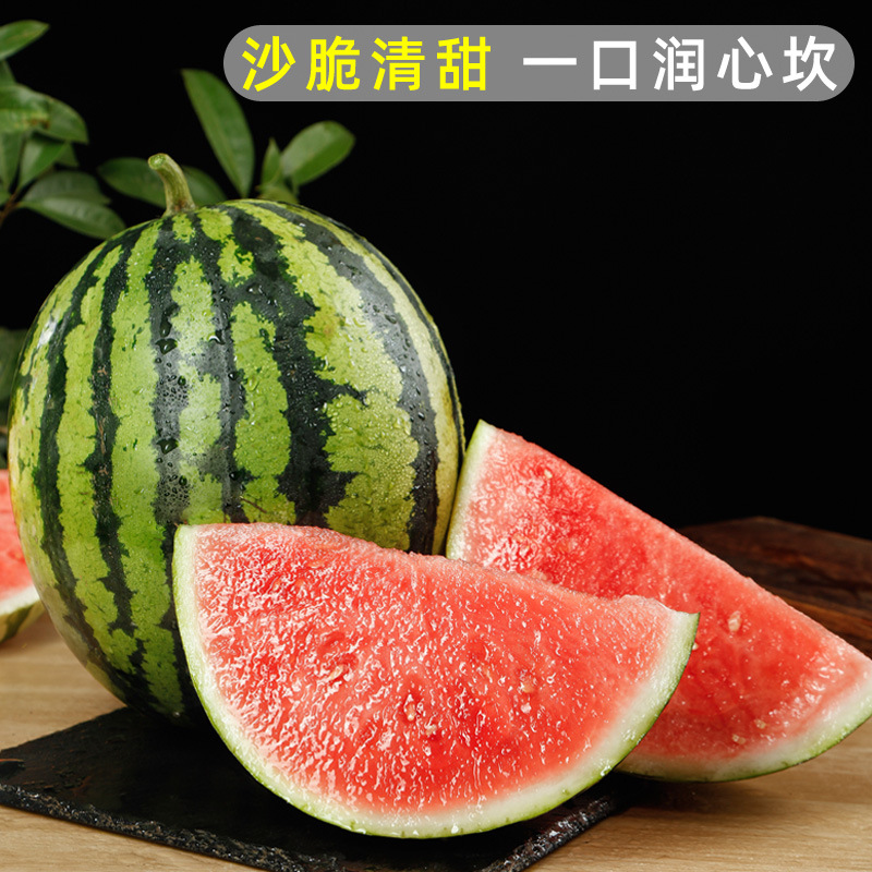 无籽美都麒麟西瓜水果新鲜应当季9斤现摘红瓤熟瓜沙薄皮甜瓜8424