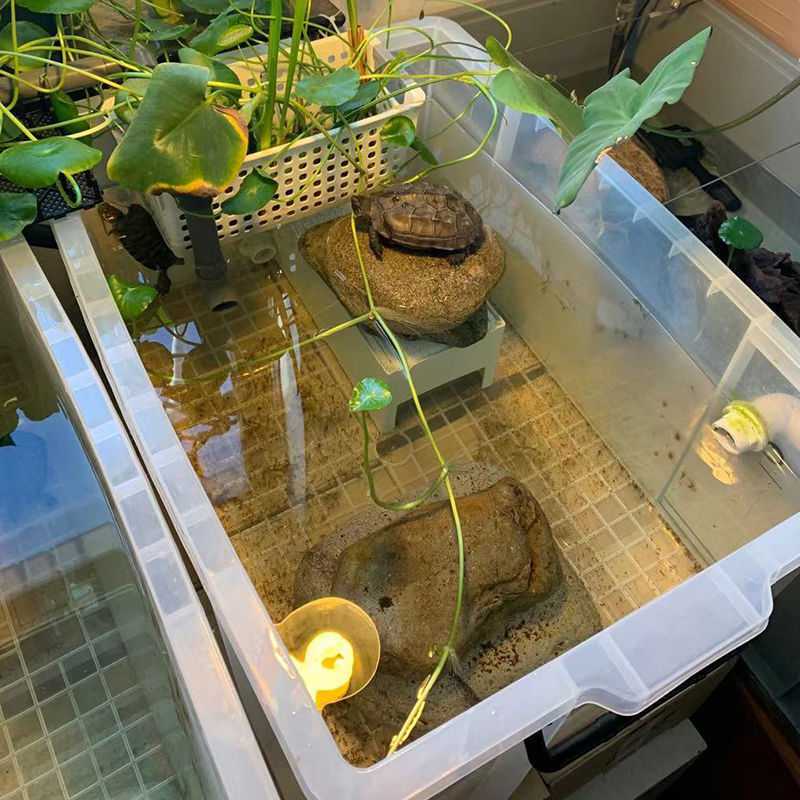 50l水箱-50l水箱厂家,品牌,图片,热帖-阿里巴巴