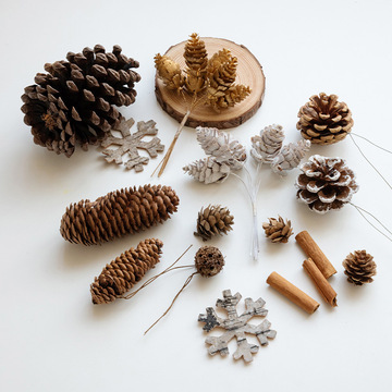 圣诞装饰品天然松果松塔松球拍摄拍照场景道具干花圣诞装饰挂饰