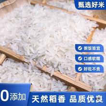臻选5斤新米长粒香大米生态米长粒米南方苗米10斤包邮猫牙