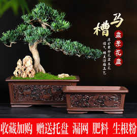 11%花盆紫砂长方形马槽大号盆假山造景陶瓷盆盆景盆厂家直销批发