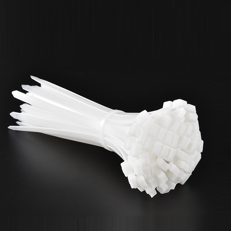 广东东莞尼龙扎带