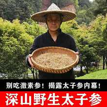 纯天然野生太子参100g 特级无硫孩儿参 中药材太子参儿童煲汤料