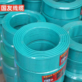 国友电线电缆国标纯铜芯N-RVS电线家装电缆线城市用电绝缘电缆线