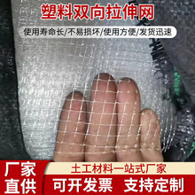 双向拉伸塑料网聚丙烯网蔬菜果园防鸟网防鹿网园林网塑料双拉网