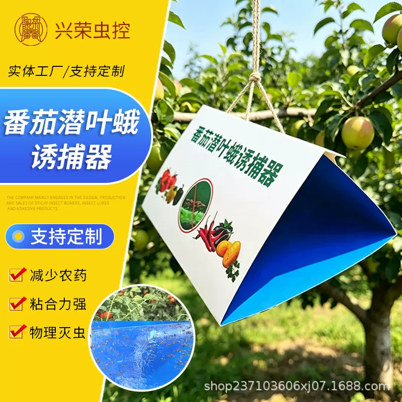 蔬果种植潜叶蛾物理诱捕装置大棚田园番茄树防虫灭蛾粘性诱捕器