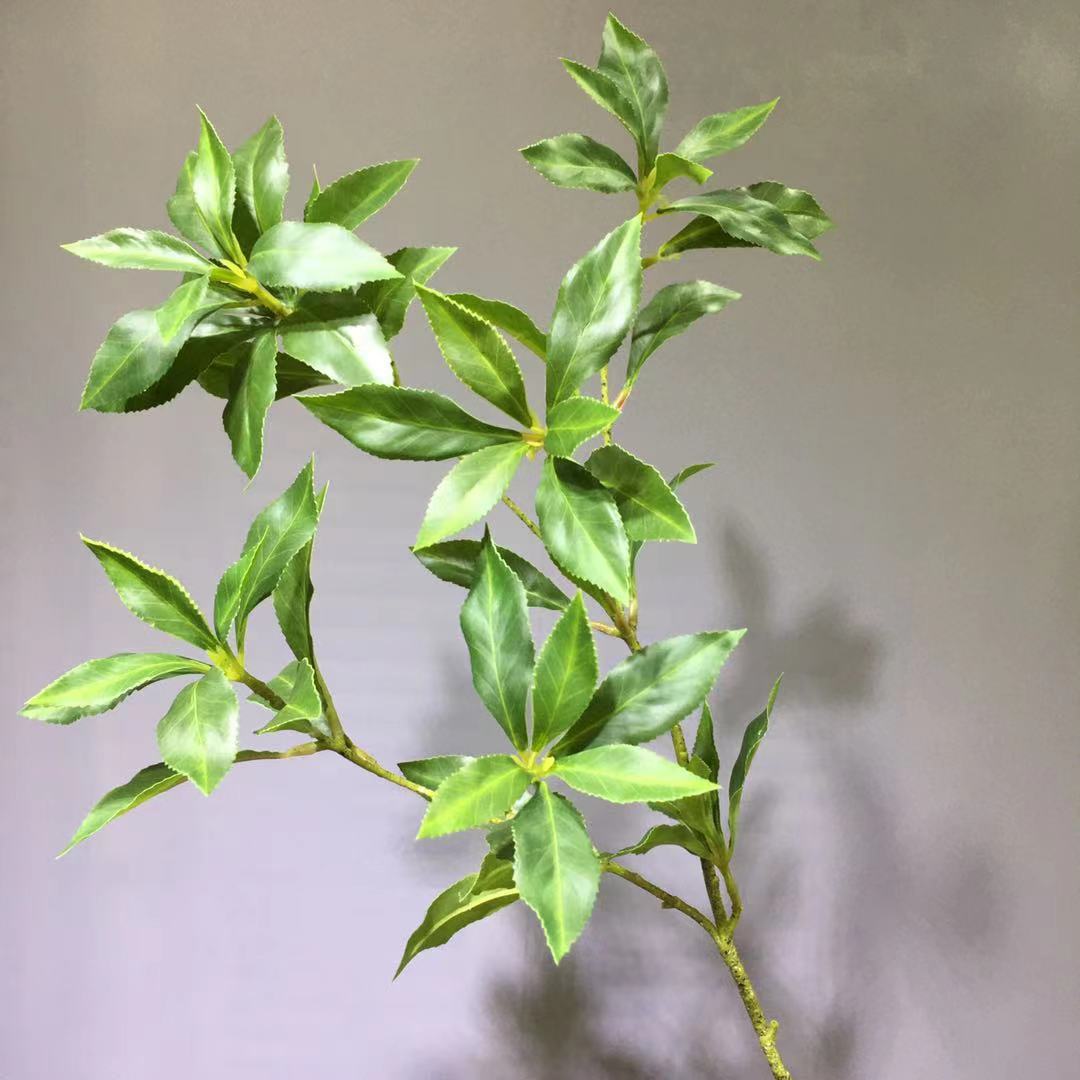 仿真植物中号马醉木多瓣叶插树园艺工程造景家居装饰日本吊钟网红