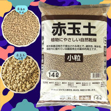 赤玉土大包装包邮 日本二本线 多肉植物植物颗粒土铺面石