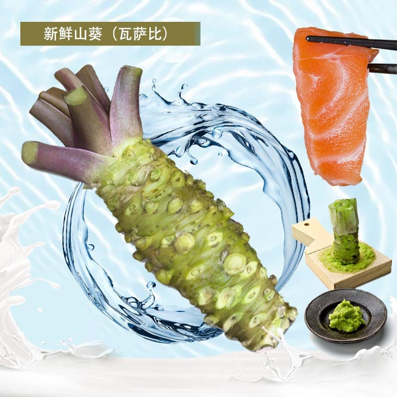 山葵云南新鲜60g体验装约1-3根植物芥末现挖3天内发货刺身伴侣