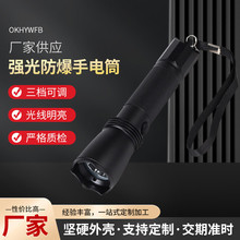 广东海洋王OK-JW7623强光防爆手电筒 便携明亮三档可调 量大优惠