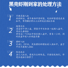 黑壳虾除藻草清洁除藻工具观赏米虾宠物鲜活饲料淡水族造景