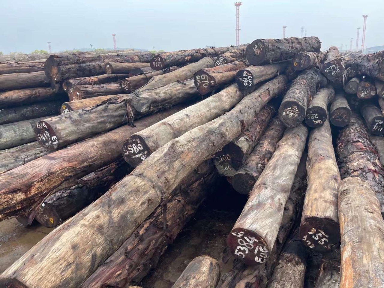 eug水胶木材所罗门水胶木柱子木料 水胶原木木材 水胶木板材