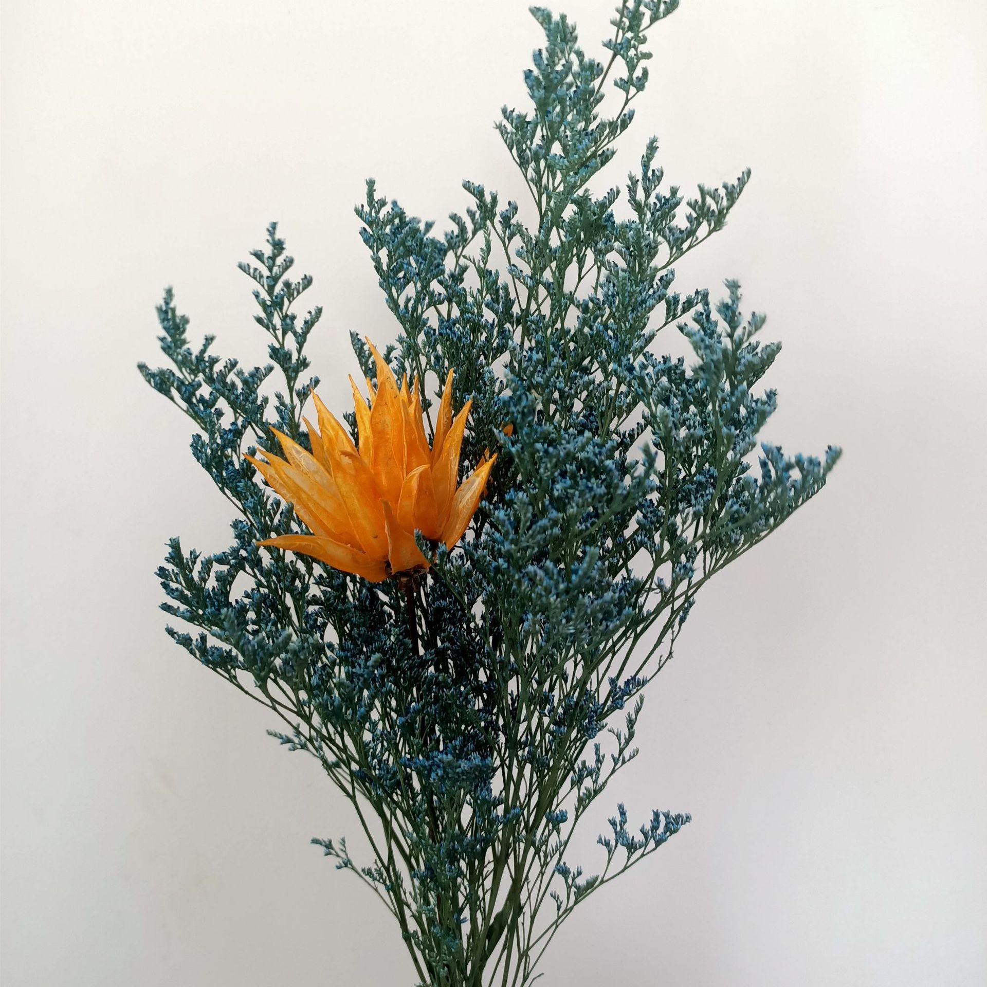 情人草干花批发 云南干花真花情人草 自然风干家居装饰花束配草