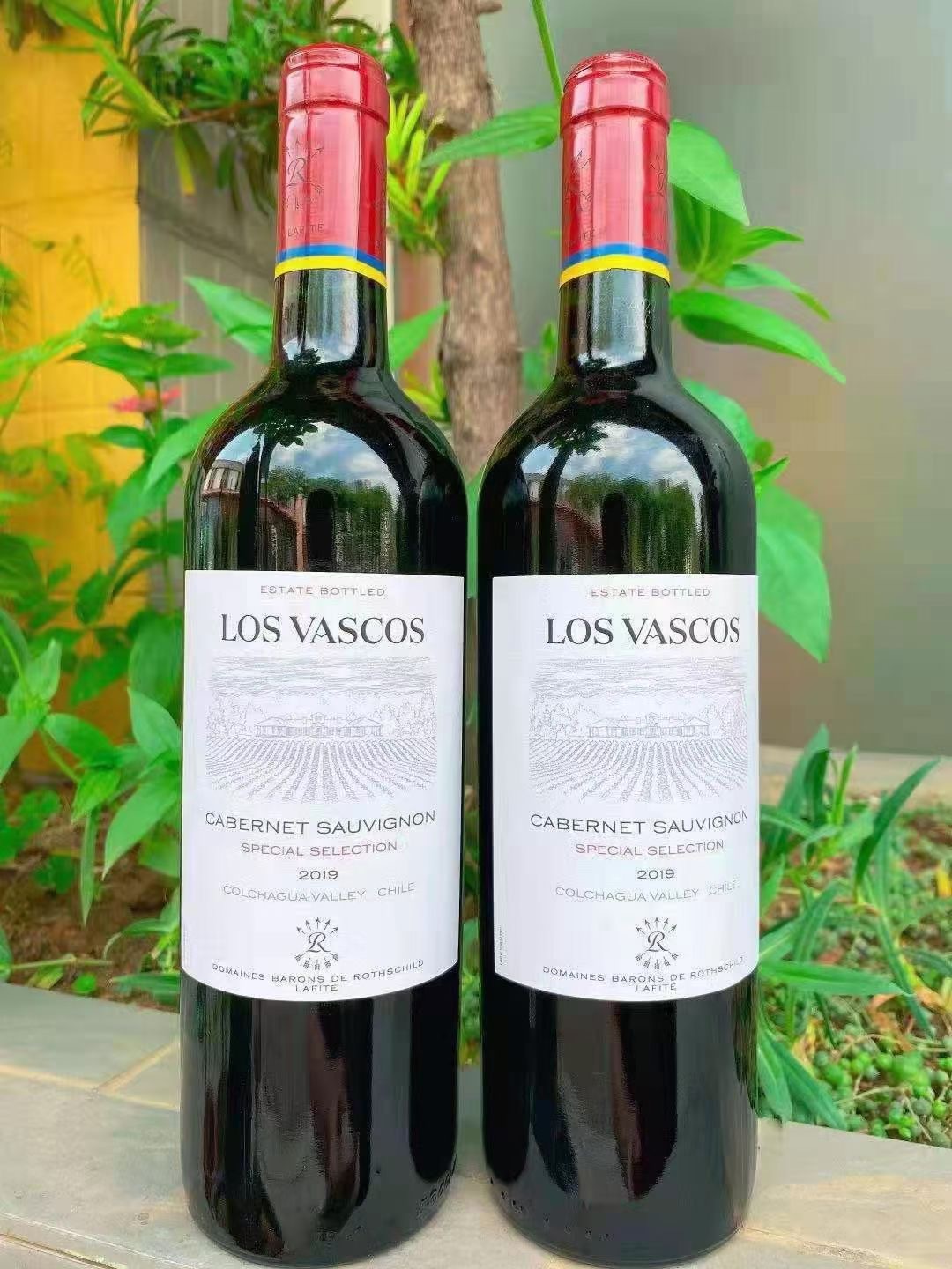 智利华诗歌新标2019干红葡萄酒los vascos cabernet sauvignon