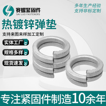 供应热浸锌热镀锌弹垫标准型弹垫圈弹簧垫圈 高强度热镀锌弹垫