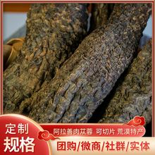 肉苁蓉 内蒙古阿拉善 中药材批发 油苁蓉 泡酒料 整根 肉苁蓉