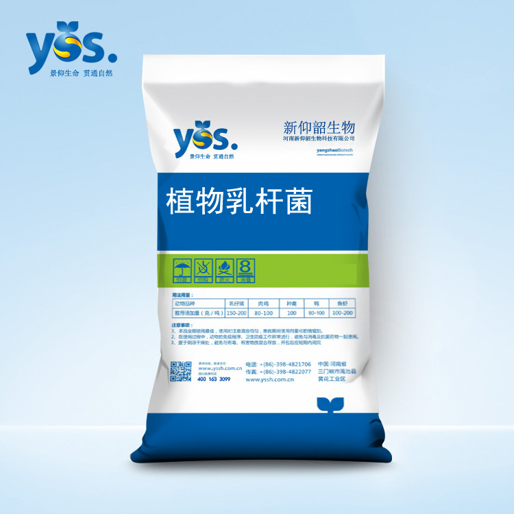 新仰韶生物植物乳杆菌100亿/g水产用微生物菌剂乳酸菌厂家直销