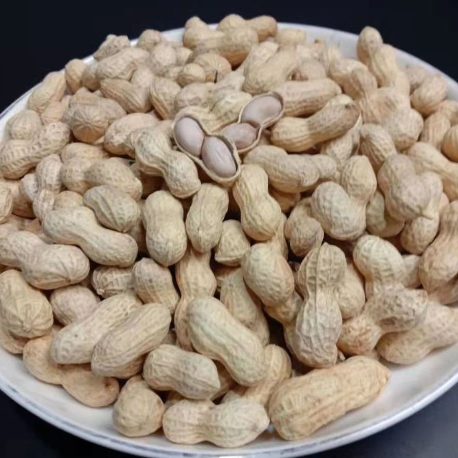 小花生炒货带壳