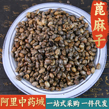 【精选货】蓖麻子中药材  新鲜干货500g包邮大粒 蓖麻籽种子红大