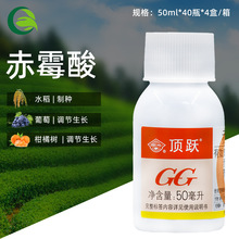 国光(药品)3%赤霉酸调节生长生长调节剂 _ 国光3%赤霉素 柑橘提高坐果